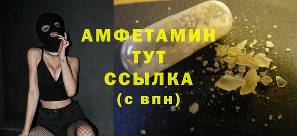 стаф Алзамай