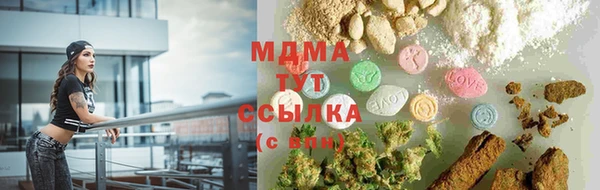 хмурый Аркадак