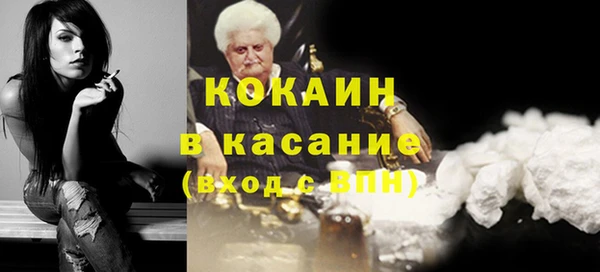 стаф Алзамай