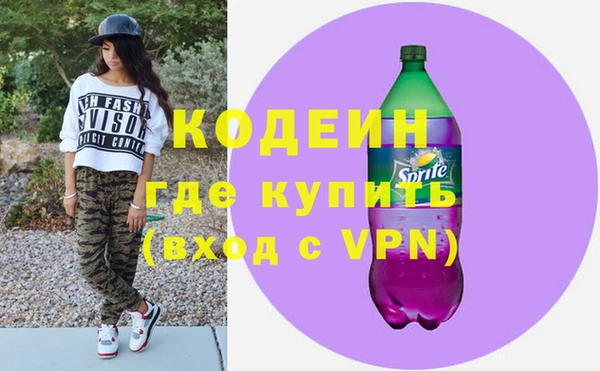 хмурый Аркадак