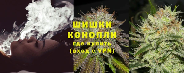 хмурый Аркадак