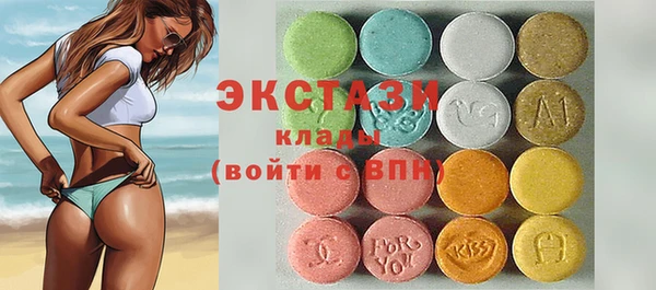 хмурый Аркадак